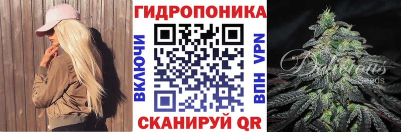 Бошки марихуана план  гидра как войти  Кадников 